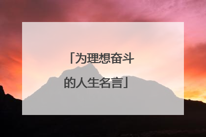 为理想奋斗的人生名言