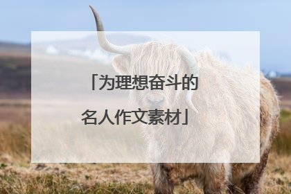 为理想奋斗的名人作文素材