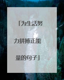 为生活努力拼搏正能量的句子