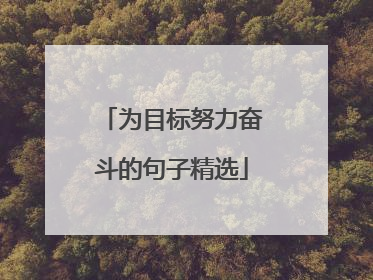 为目标努力奋斗的句子精选