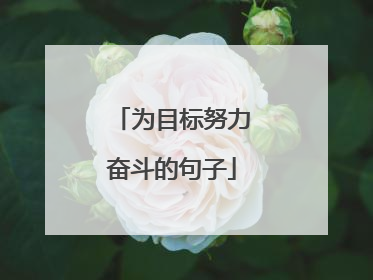 为目标努力奋斗的句子
