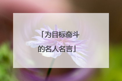 为目标奋斗的名人名言