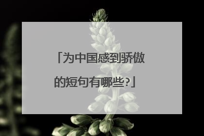 为中国感到骄傲的短句有哪些?