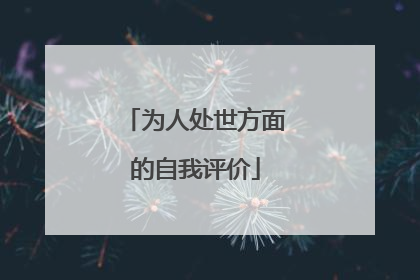 为人处世方面的自我评价