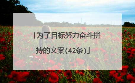 为了目标努力奋斗拼搏的文案(42条)