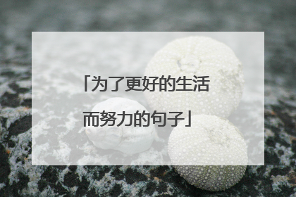为了更好的生活而努力的句子