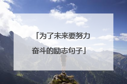 为了未来要努力奋斗的励志句子