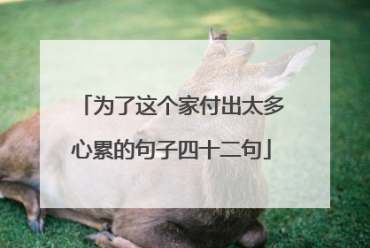 为了这个家付出太多心累的句子四十二句