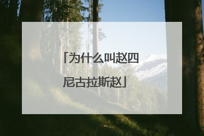 为什么叫赵四尼古拉斯赵