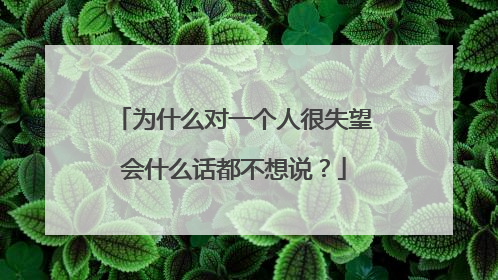 为什么对一个人很失望会什么话都不想说？