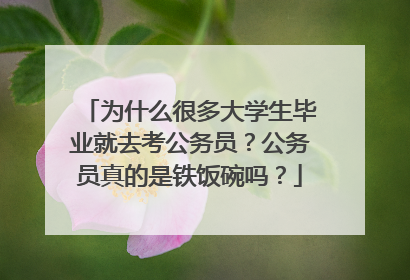 为什么很多大学生毕业就去考公务员?公务员真的是铁饭碗吗?