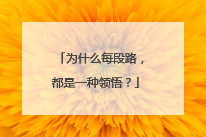 为什么每段路,都是一种领悟?