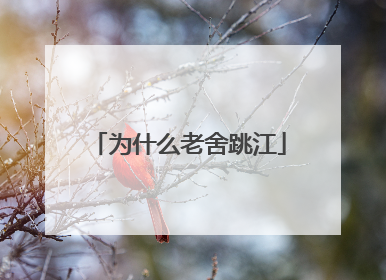 为什么老舍跳江