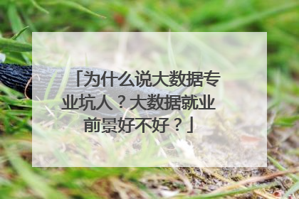 为什么说大数据专业坑人？大数据就业前景好不好？