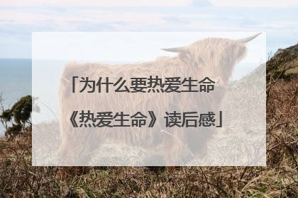 为什么要热爱生命 《热爱生命》读后感