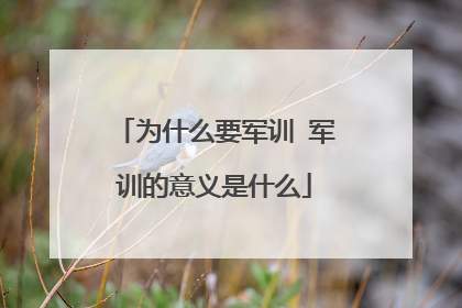 为什么要军训 军训的意义是什么