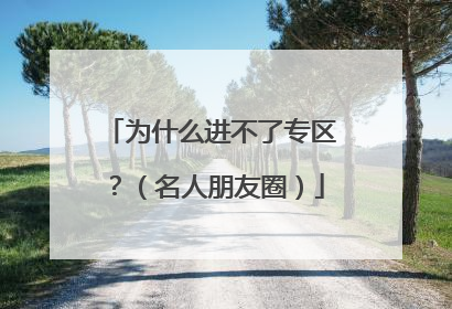 为什么进不了专区?(名人朋友圈)