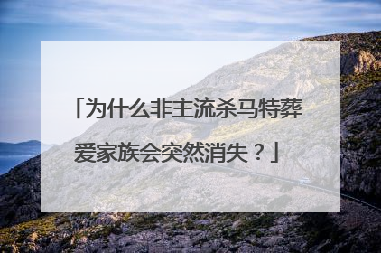 为什么非主流杀马特葬爱家族会突然消失?