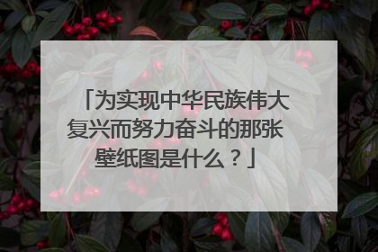 为实现中华民族伟大复兴而努力奋斗的那张壁纸图是什么？