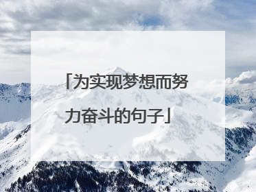为实现梦想而努力奋斗的句子