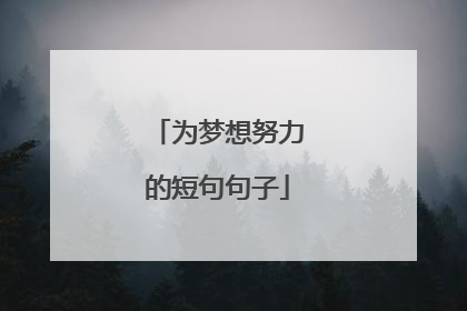 为梦想努力的短句句子
