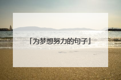 为梦想努力的句子