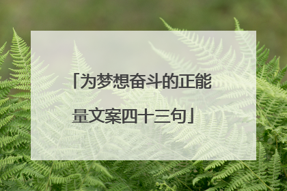 为梦想奋斗的正能量文案四十三句