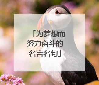 为梦想而努力奋斗的名言名句