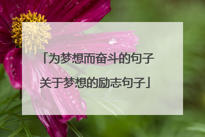 为梦想而奋斗的句子 关于梦想的励志句子