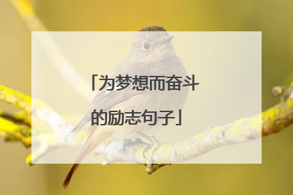 为梦想而奋斗的励志句子