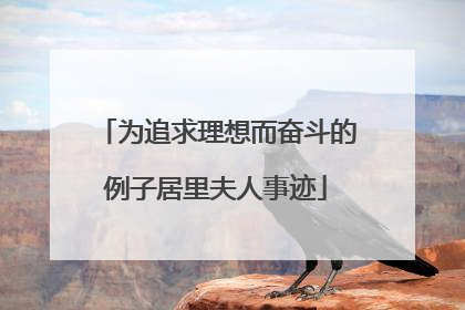为追求理想而奋斗的例子居里夫人事迹