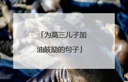 为高三儿子加油鼓励的句子