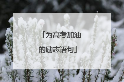 为高考加油的励志语句