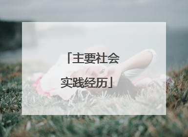 主要社会实践经历