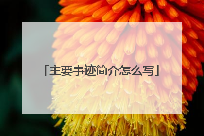 主要事迹简介怎么写