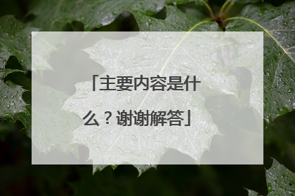 主要内容是什么？谢谢解答