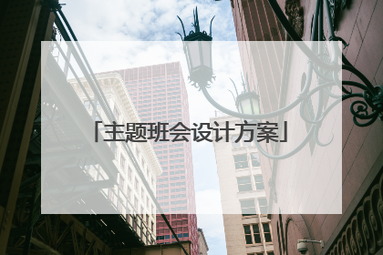 主题班会设计方案