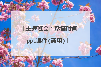 主题班会：珍惜时间ppt课件(通用)