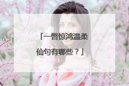 一瞥惊鸿温柔仙句有哪些?