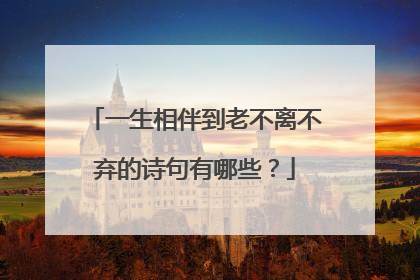 一生相伴到老不离不弃的诗句有哪些？