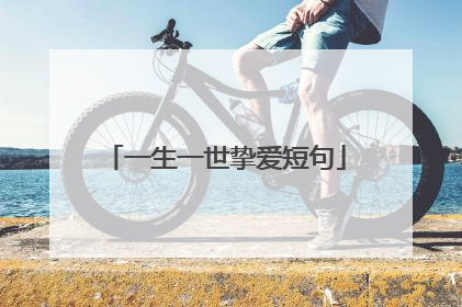 一生一世挚爱短句