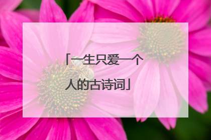 一生只爱一个人的古诗词