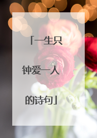 一生只钟爱一人的诗句