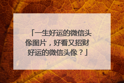 一生好运的微信头像图片,好看又招财好运的微信头像?
