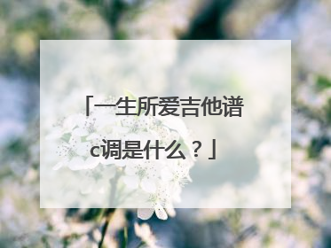 一生所爱吉他谱c调是什么？