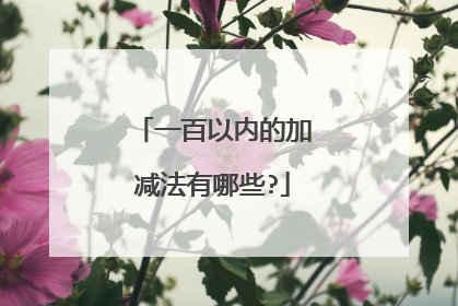 一百以内的加减法有哪些?