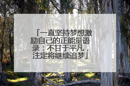 一直坚持梦想激励自己的正能量语录:不甘于平凡,注定将继续追梦