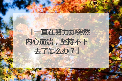 一直在努力却突然内心崩溃，坚持不下去了怎么办？