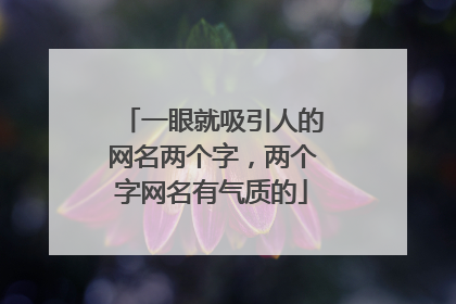 一眼就吸引人的网名两个字，两个字网名有气质的