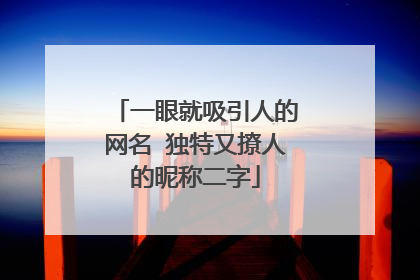 一眼就吸引人的网名 独特又撩人的昵称二字